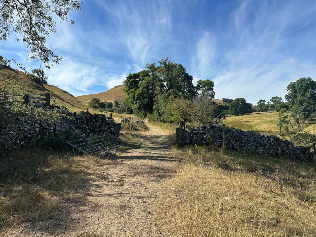 Narrowdale