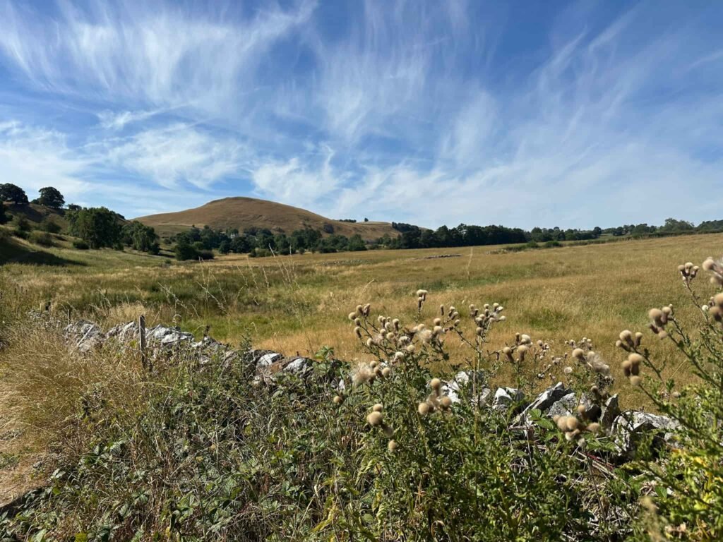Narrowdale Hill, with a limestone wall and some thistles in the foreground