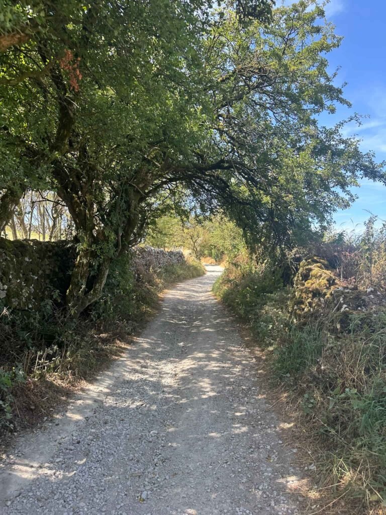 A gravel track