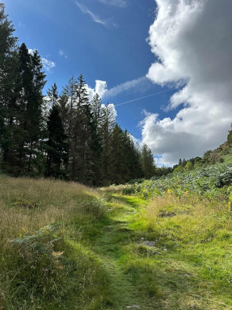 The path up to High Tove