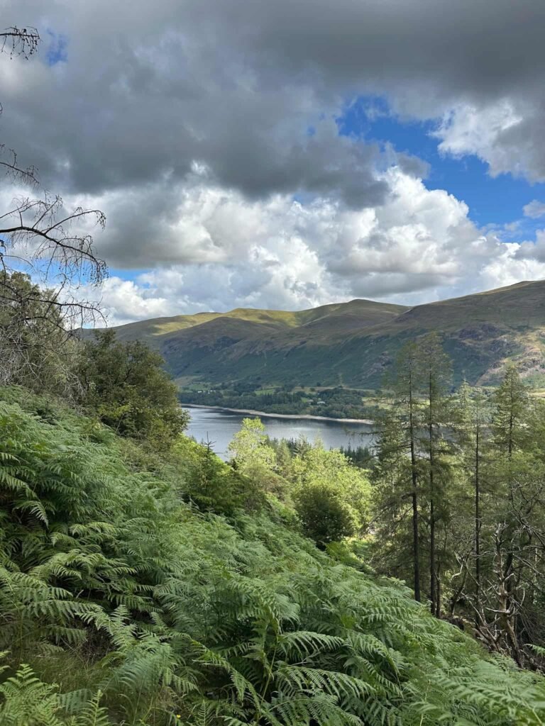 View over Thirlmere and to the Dodds from High Tove