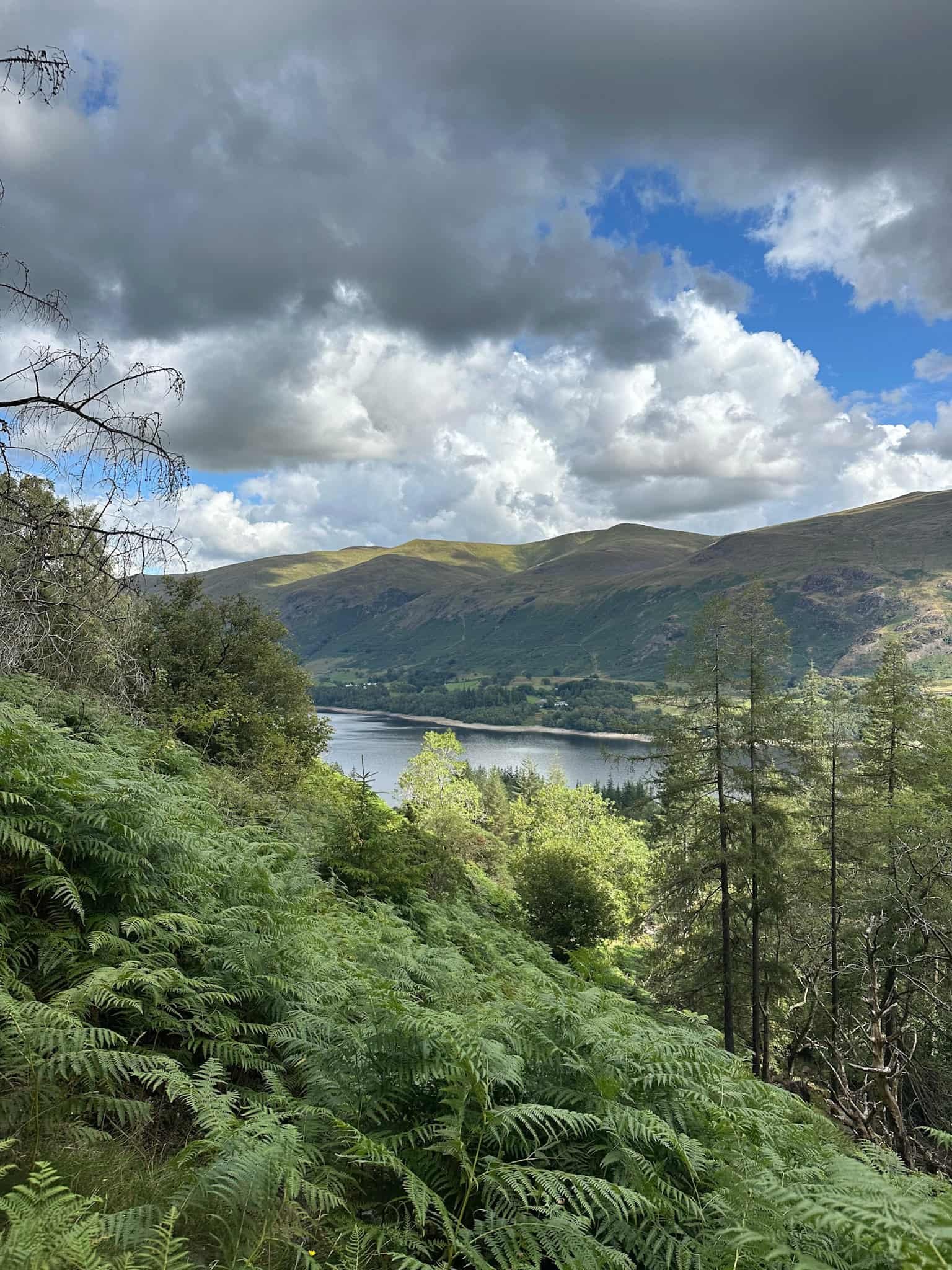View over Thirlmere and to the Dodds from High Tove