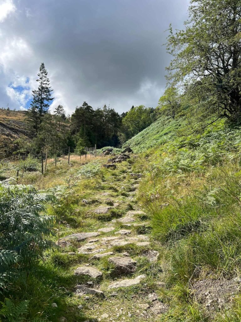 The path up to High Tove