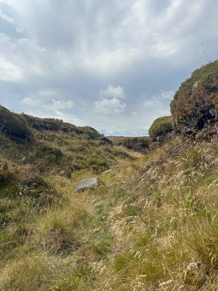 Peat groughs on Kinder Scout