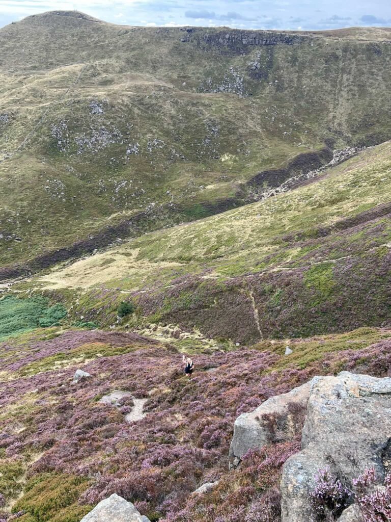 A view from Upper Tor over moorland