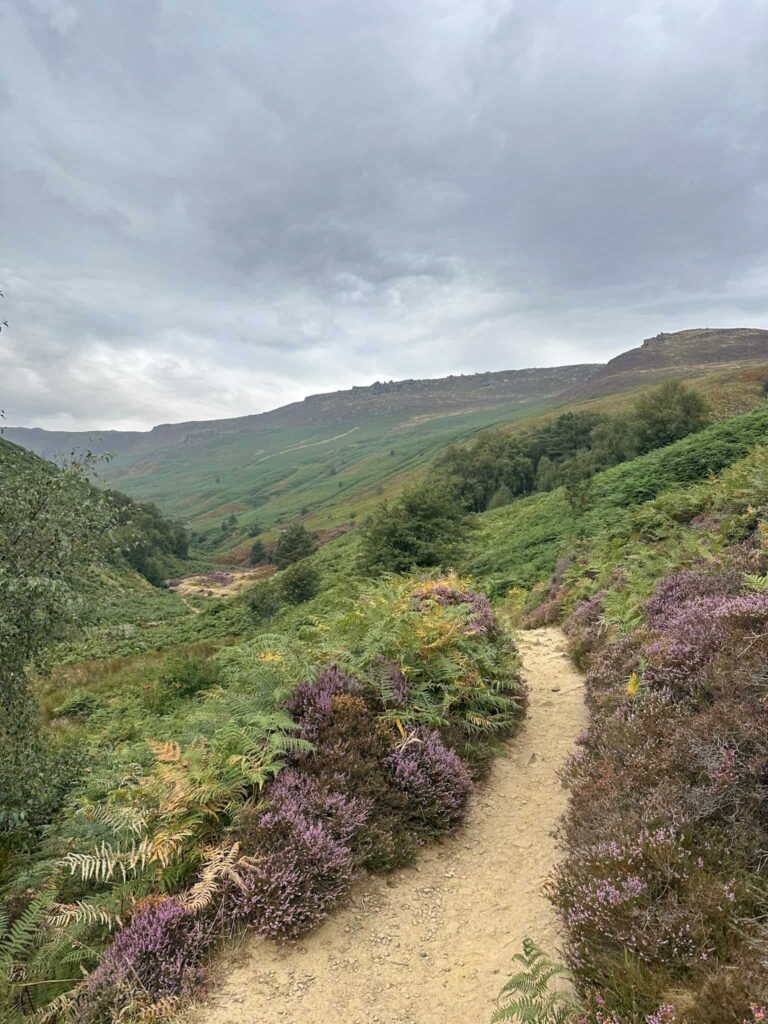 Path alongside Grinds Brook