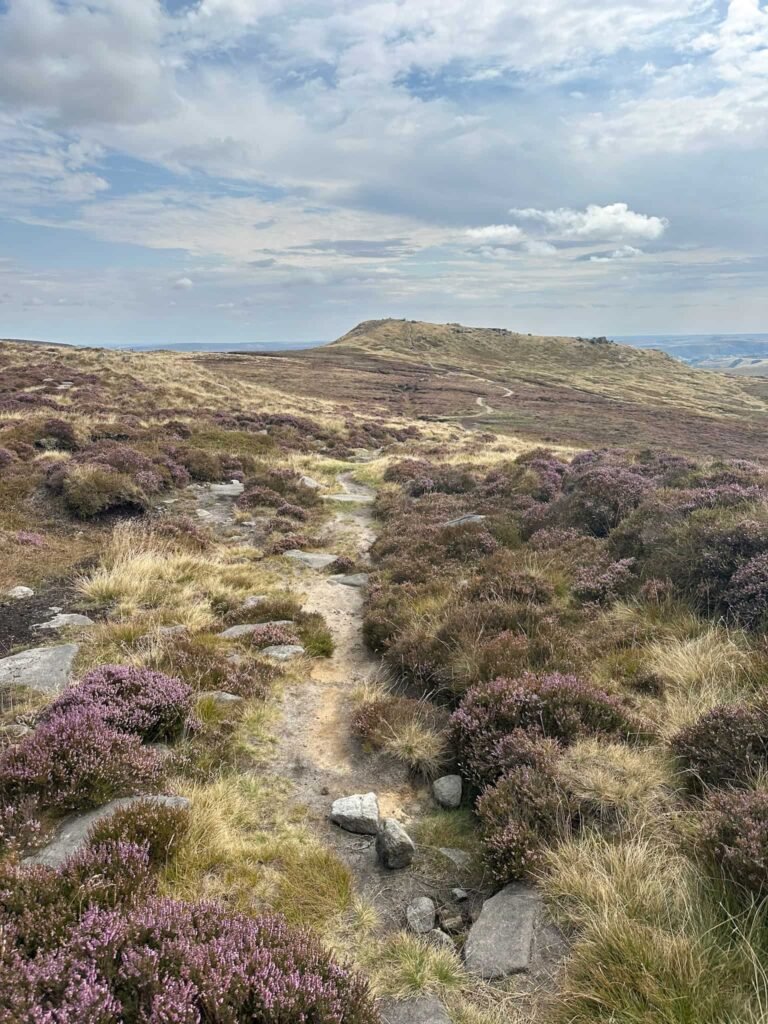 A view to Grindslow Knoll through the heather