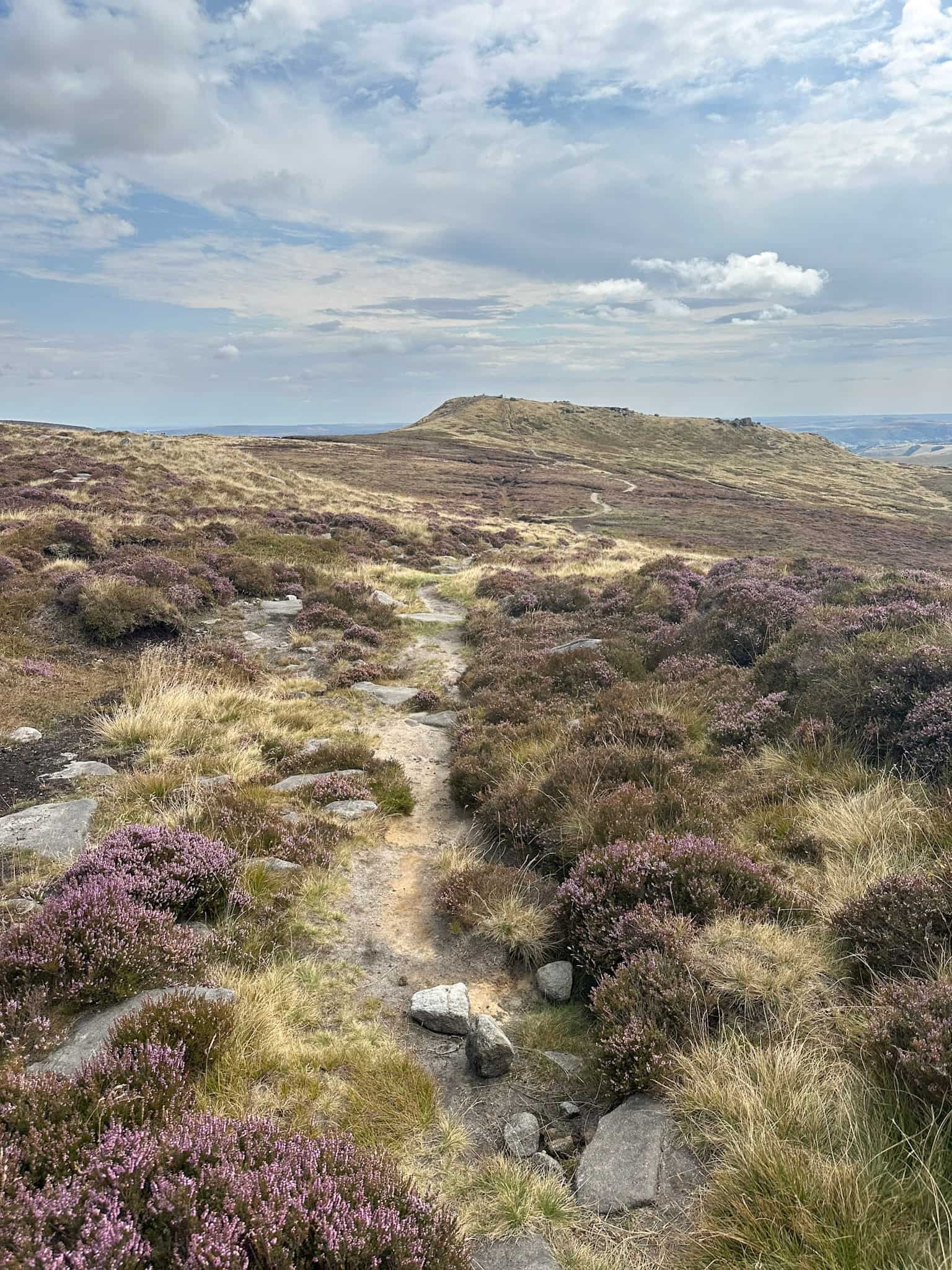A view to Grindslow Knoll through the heather