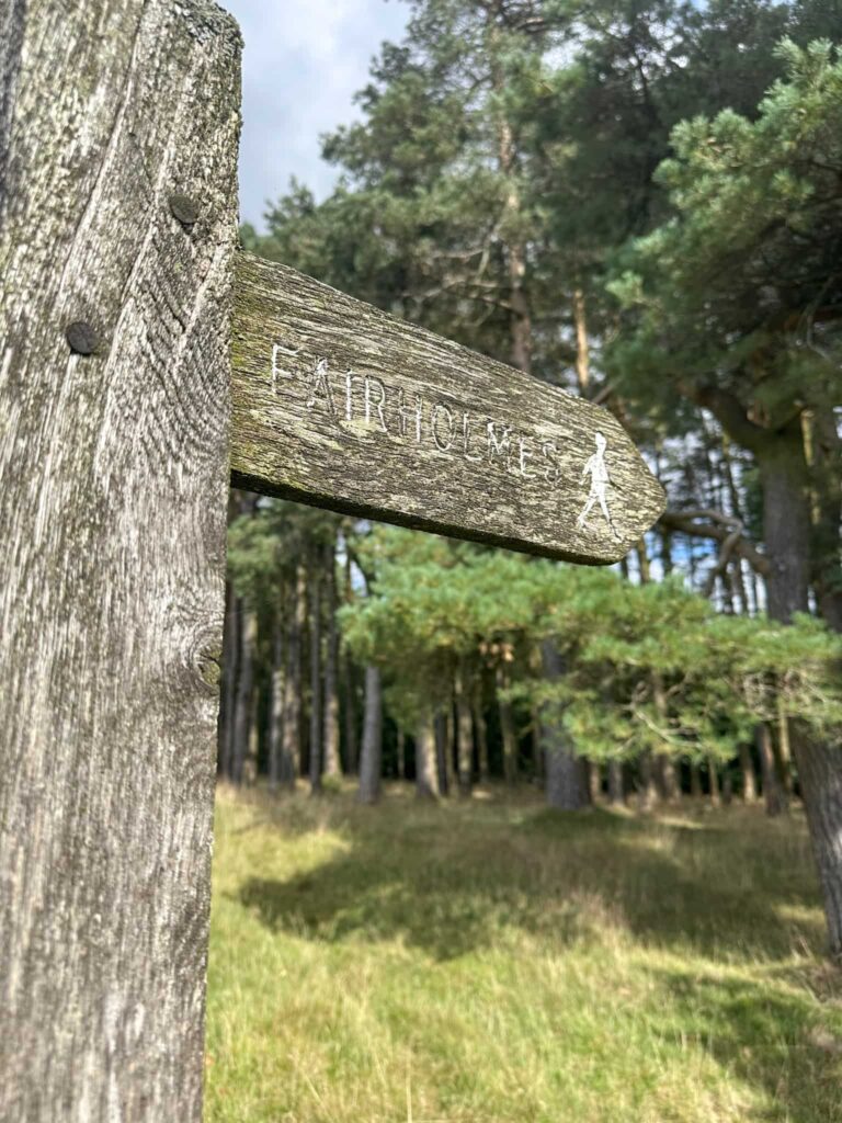Wooden signpost for Fairholmes