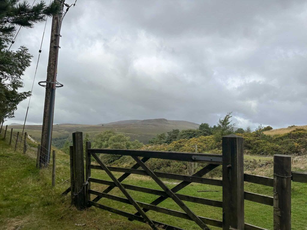 A wooden gate