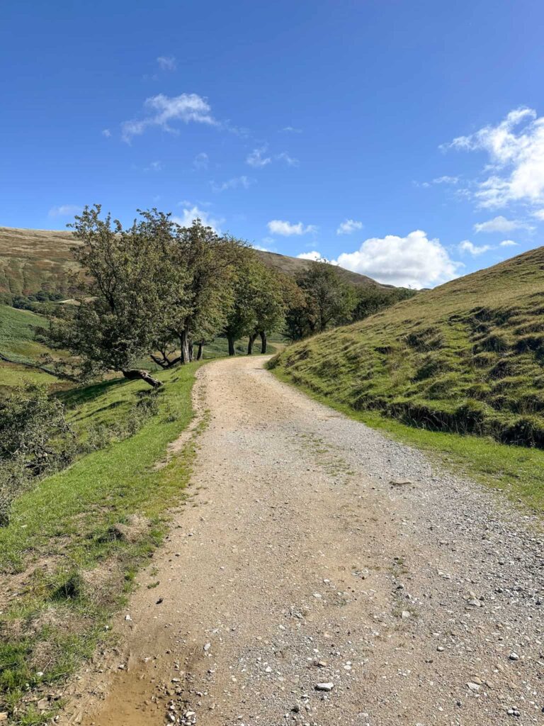 A single track lane