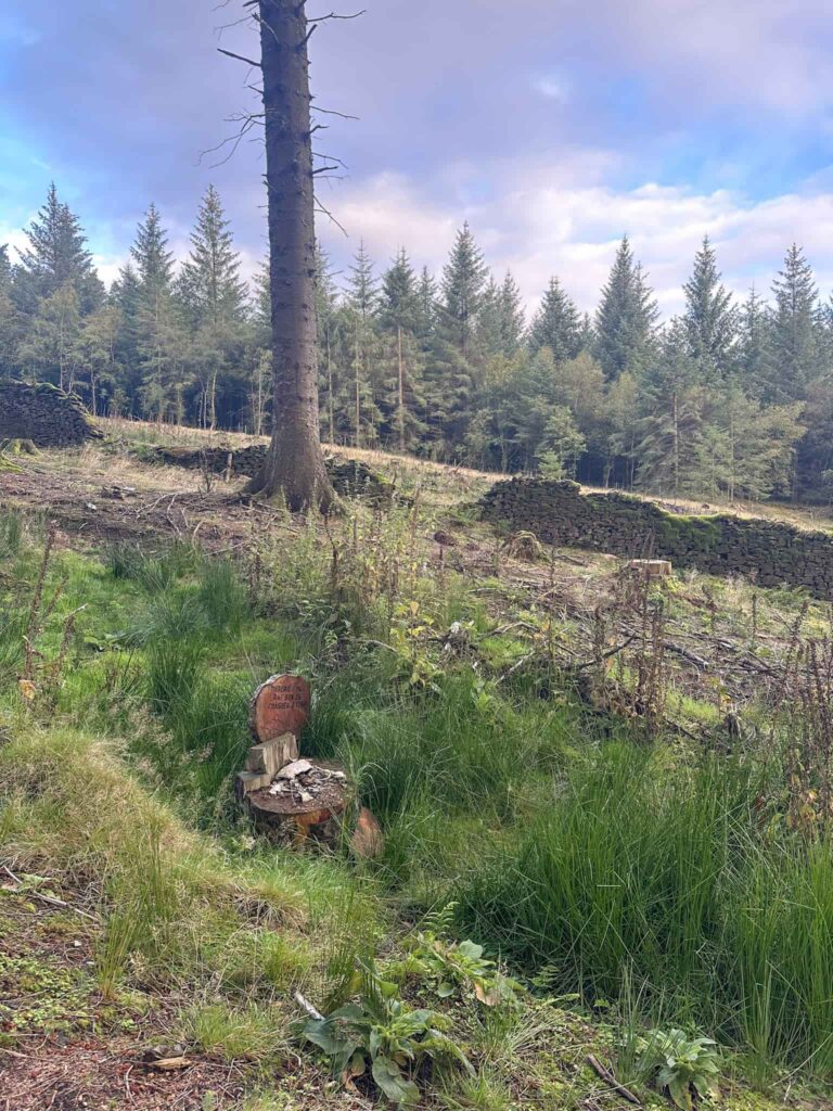 The memorial to the Gloster Meteor which crashed in woodland near Fairholmes