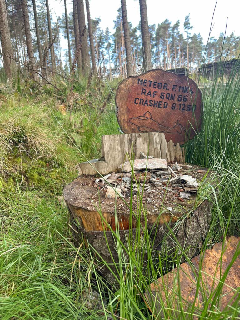 The memorial to the Gloster Meteor which crashed in woodland near Fairholmes