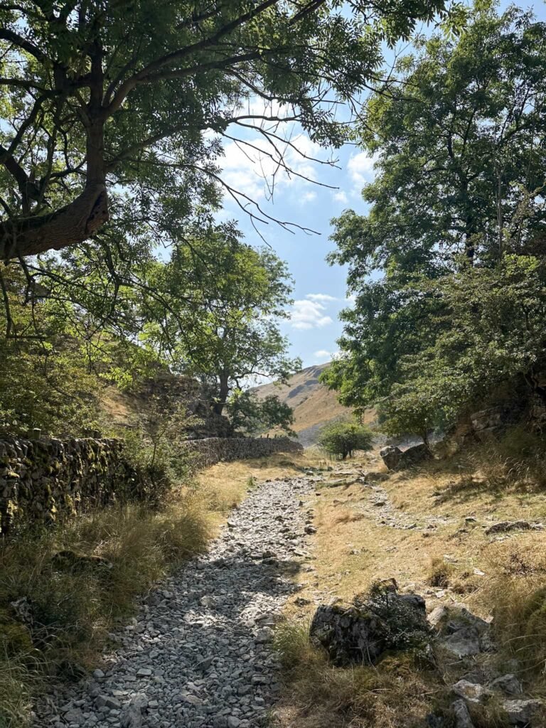 Biggin Dale