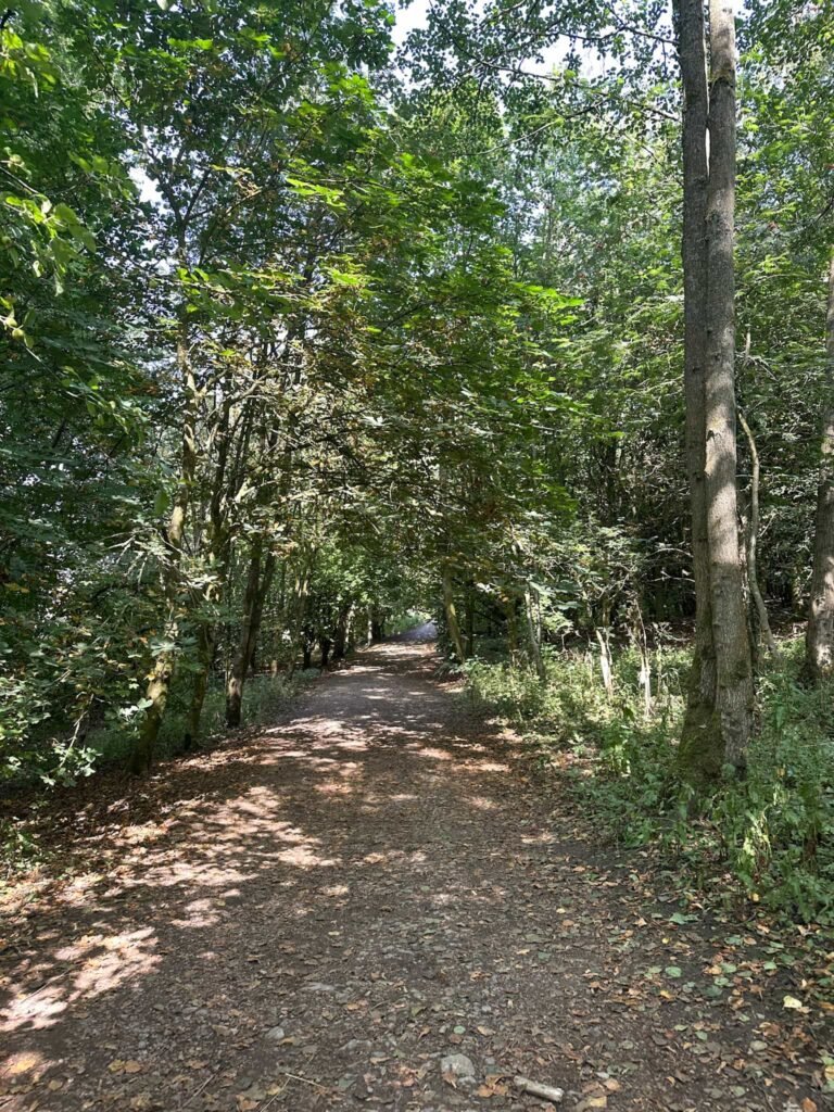 Morson Woods, Hartington
