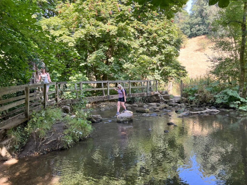 A wooden bridge and a woman on some stone stepping stones