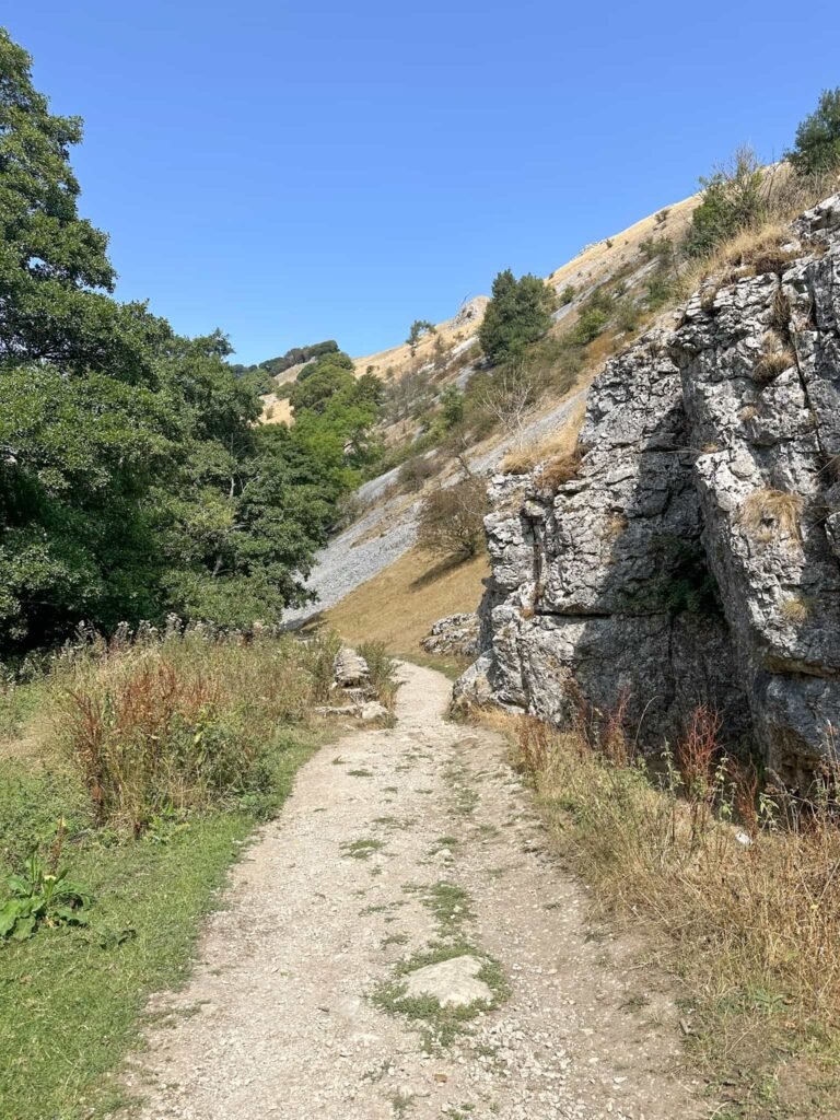 Wolfscote Dale