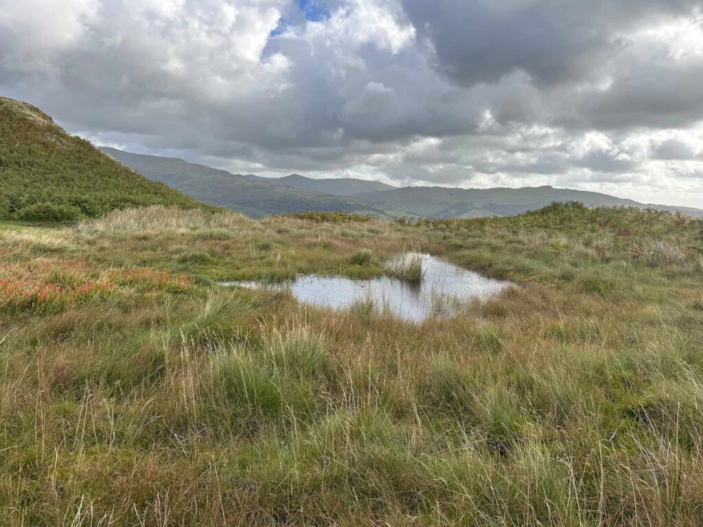 A small pool on the moors
