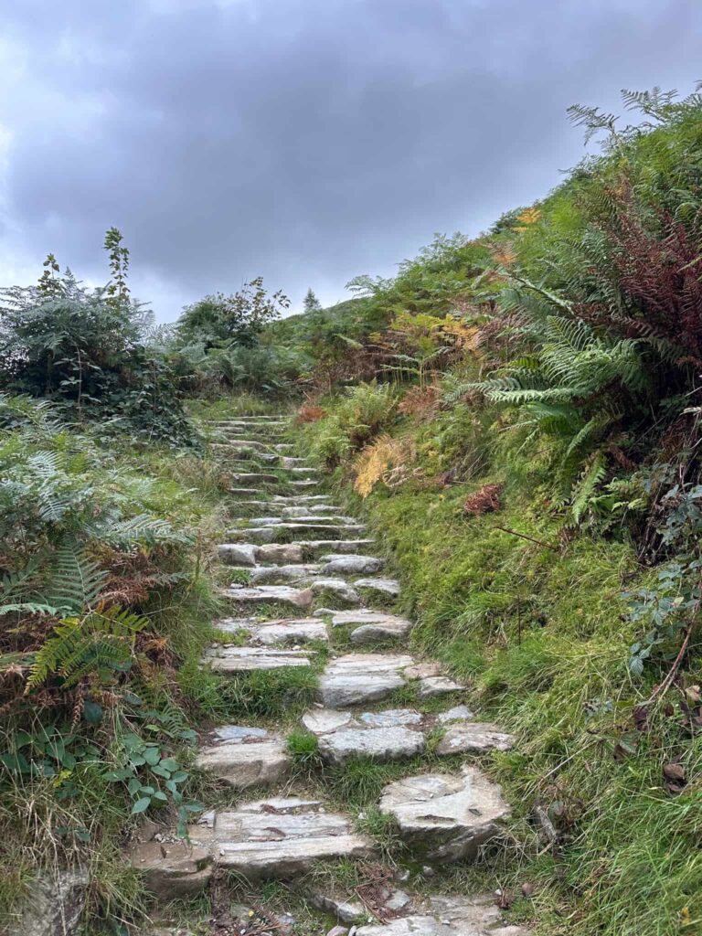 Stone steps leading up Loughrigg Fell