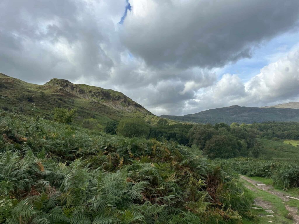Looking up at Loughrigg Fell
