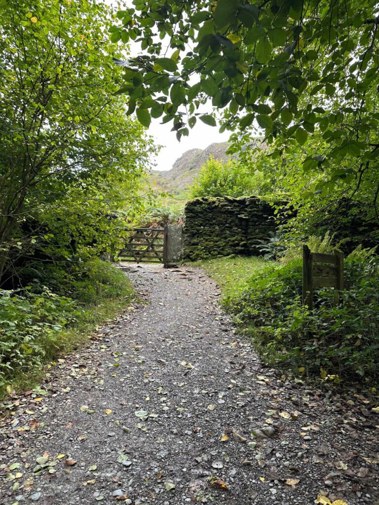 A gravel path leading to a wooden gate