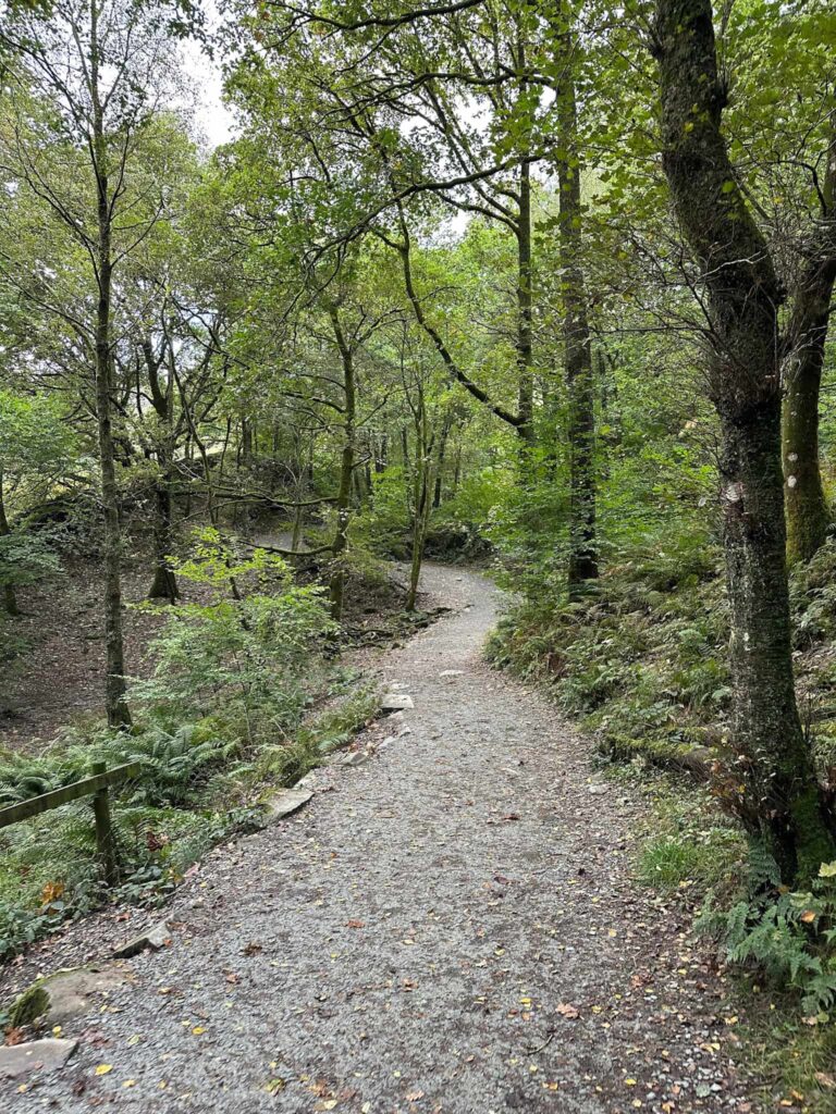 A gravel path through woodland