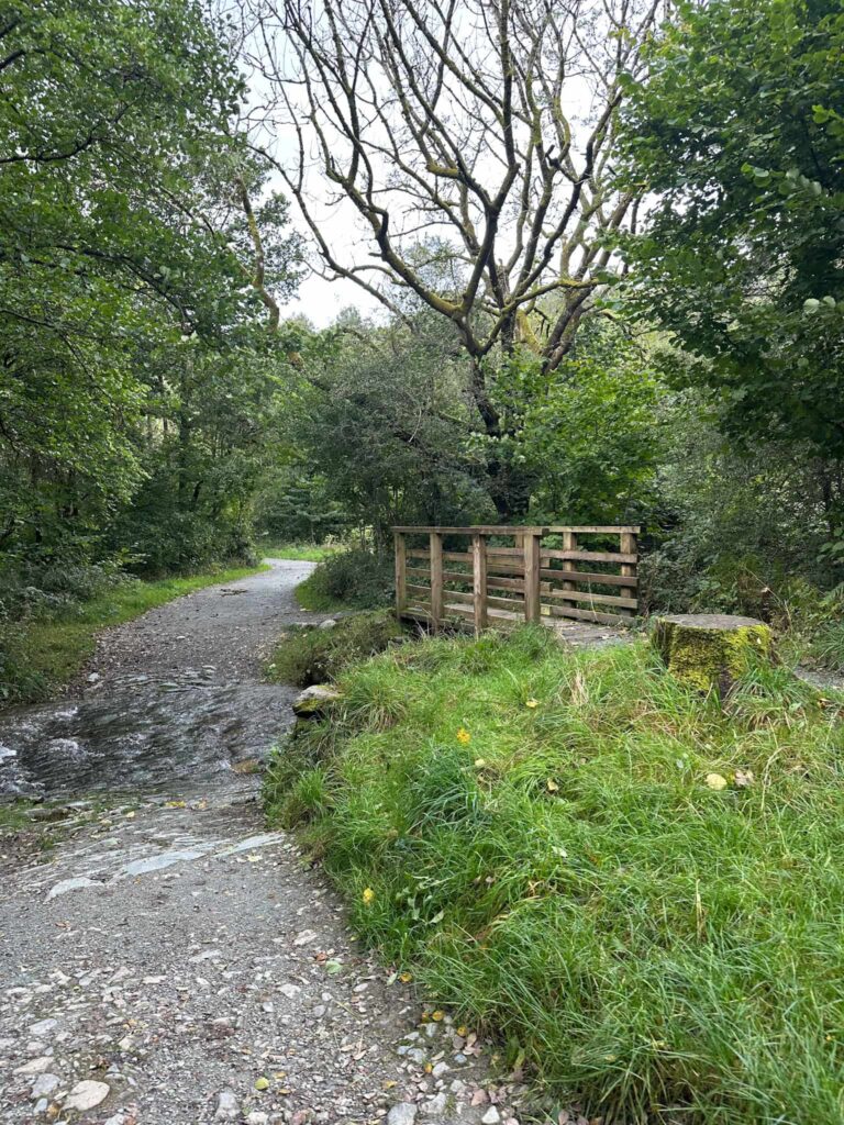 A wooden bridge over a stream