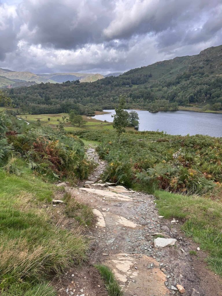A path on the hillside