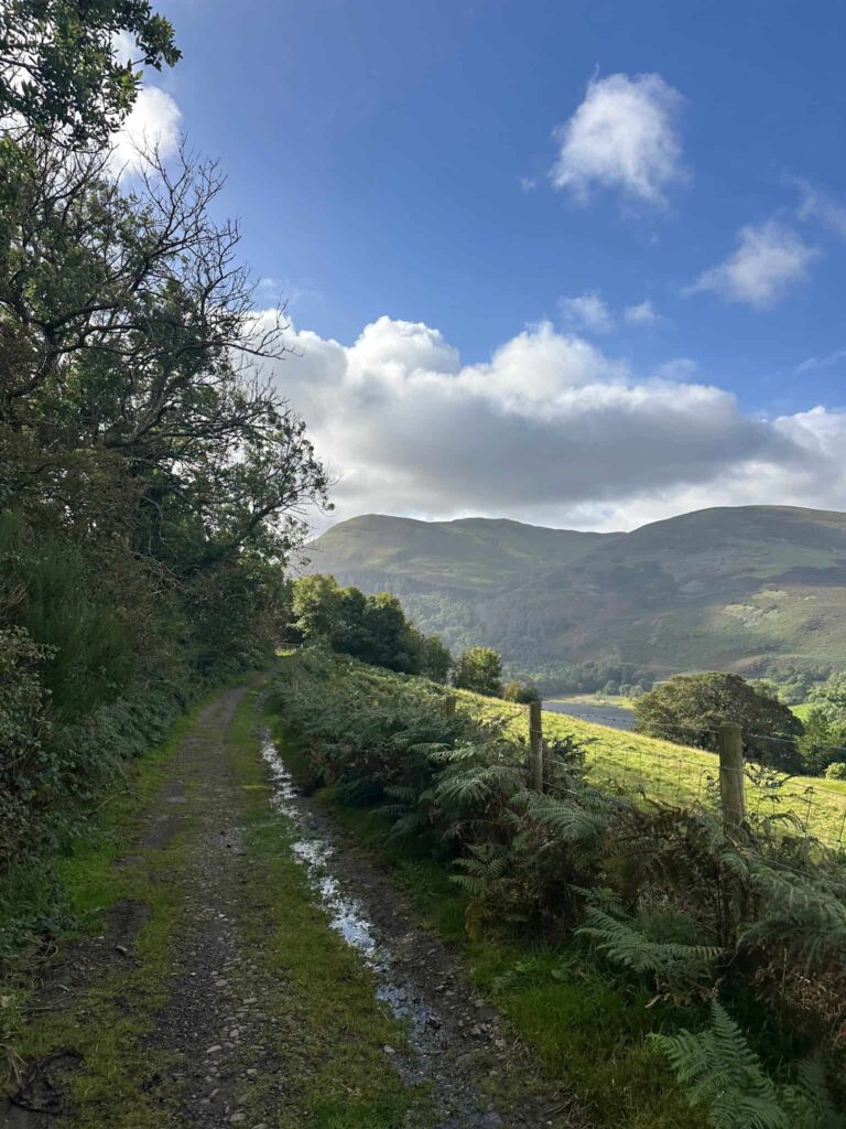 A well made track with a view over Loweswater
