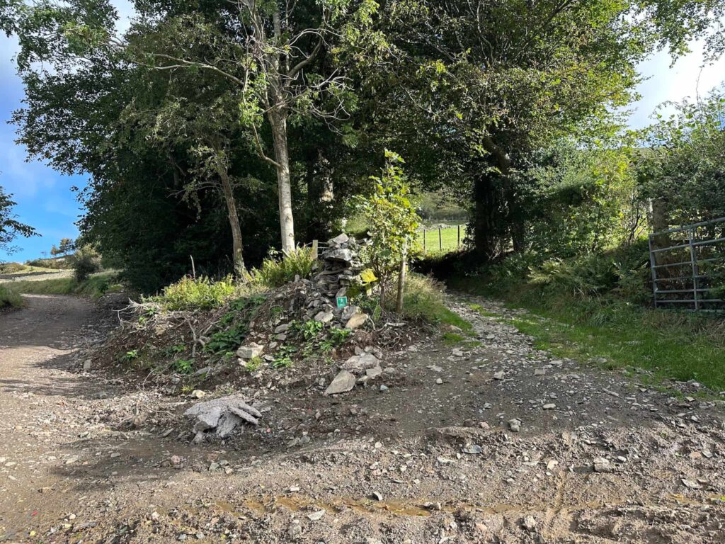A fork in the road on a rough track