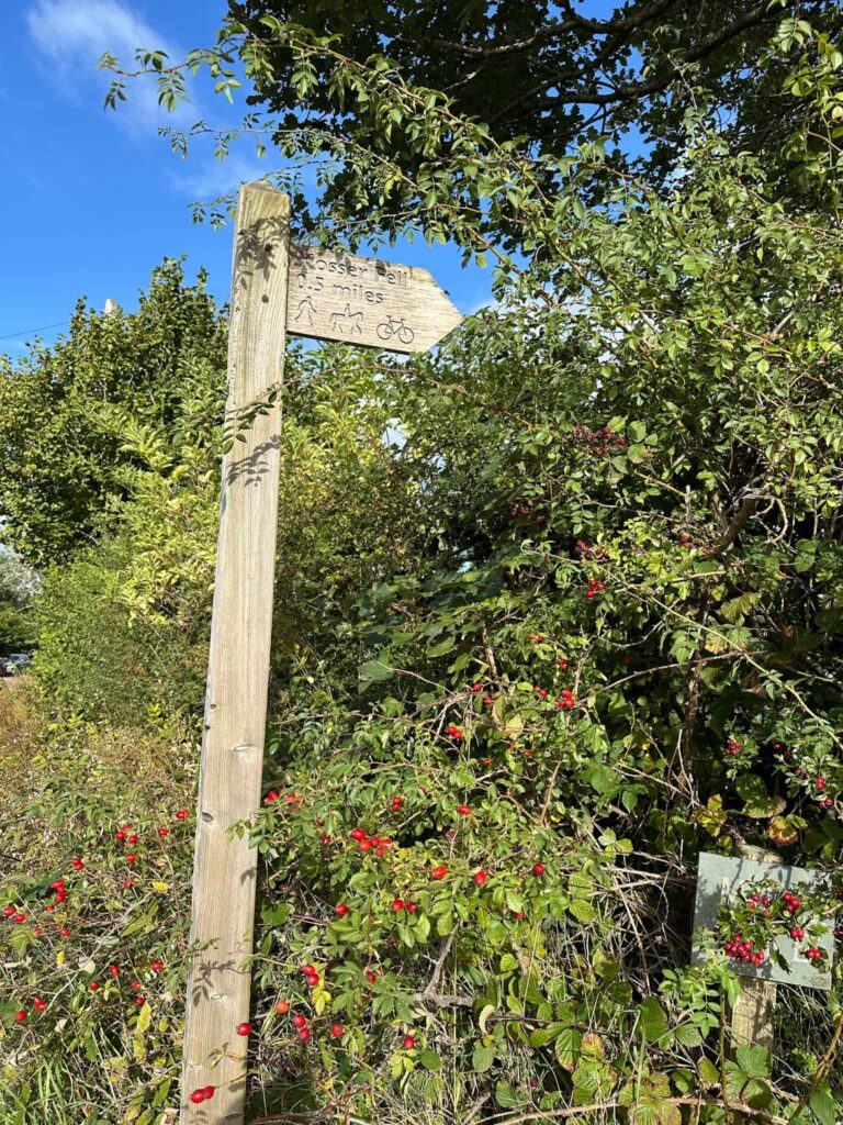 A wooden signpost