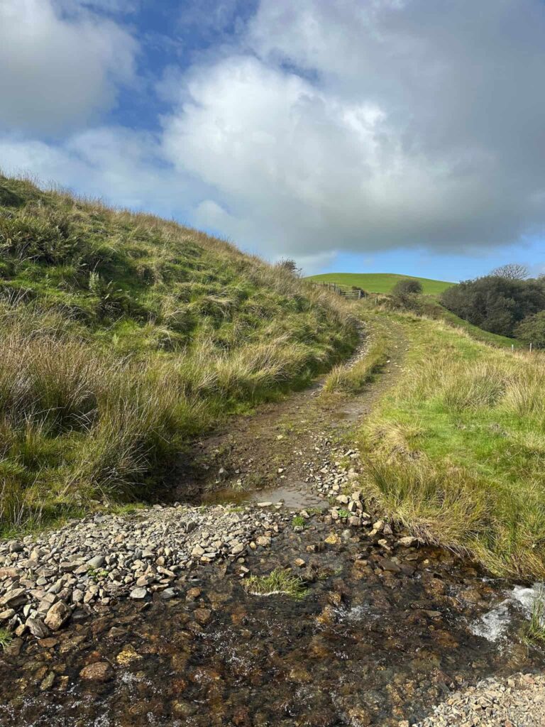 A muddy track