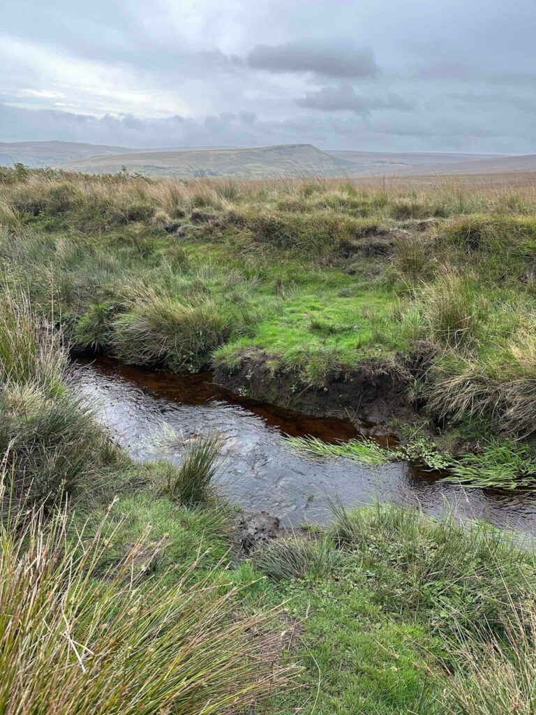 A stream near March Haigh Reservoir