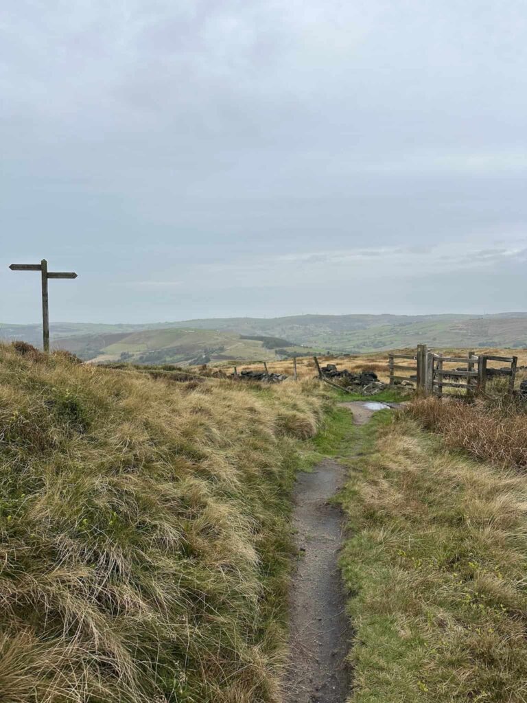 A moorland view