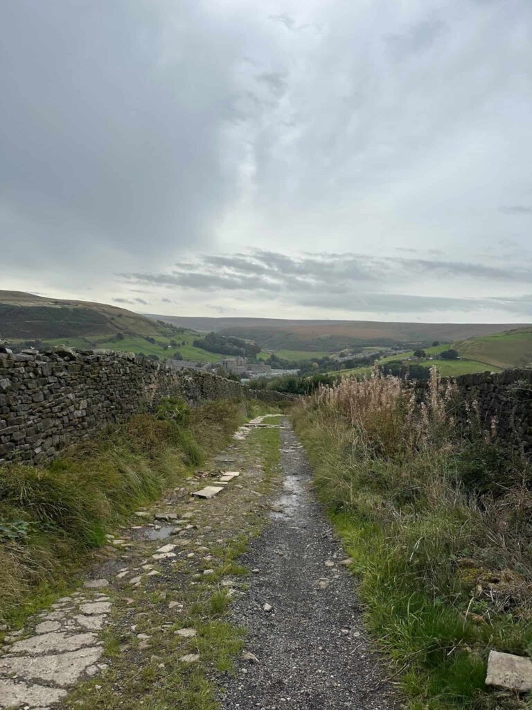 A track leading off into the distance