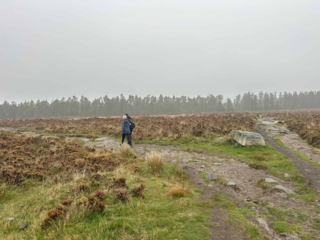 Two people walking on the moor