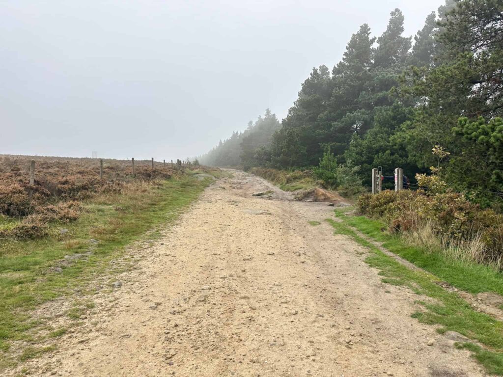 A sandy track on the moors