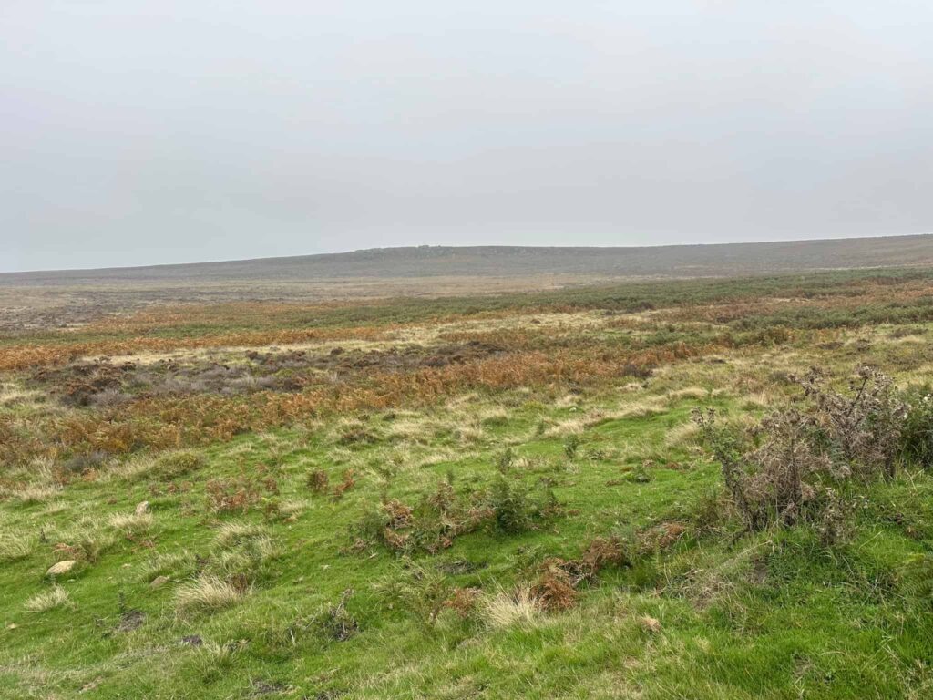 The remains of the Starfish Decoy site on Houndkirk Road