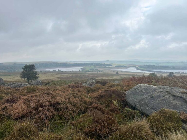 A moorland view