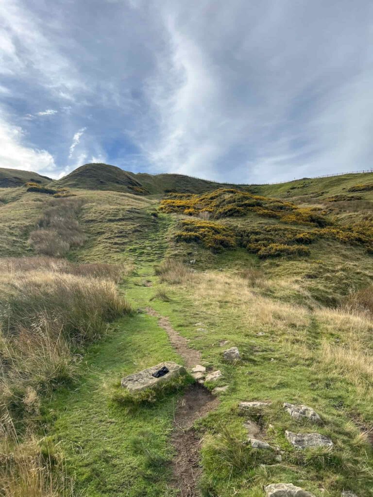 A grassy path