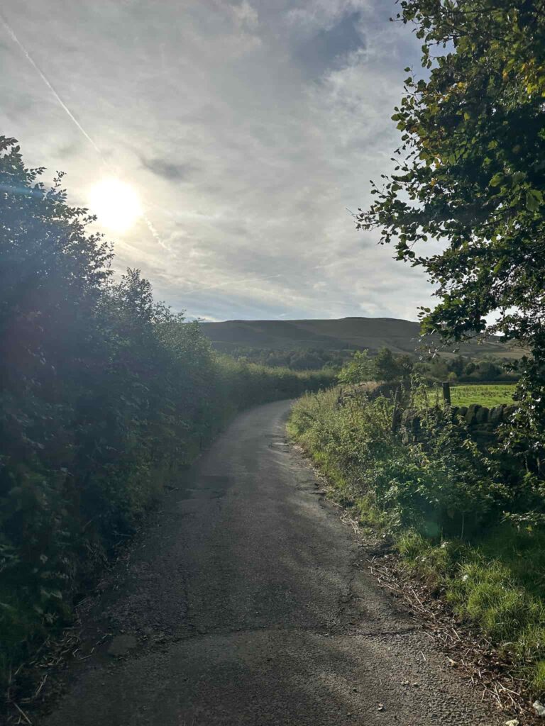A country lane