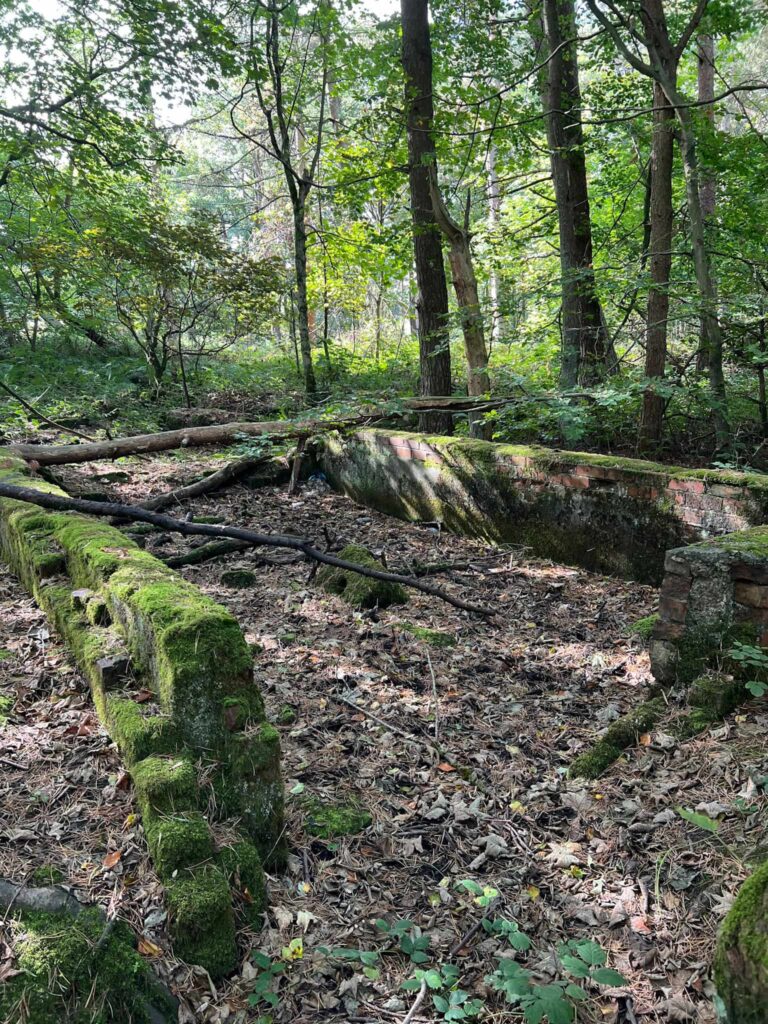 Remains of Lodge Moor POW Camp