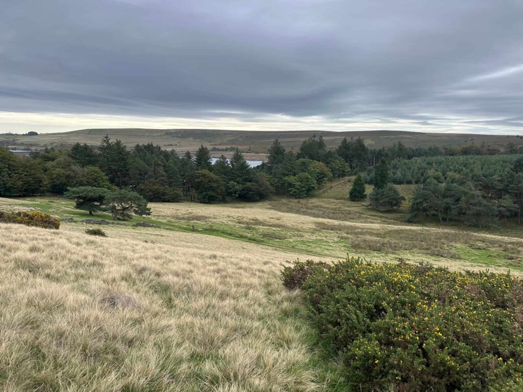 A countryside view with a reservoir in the distance