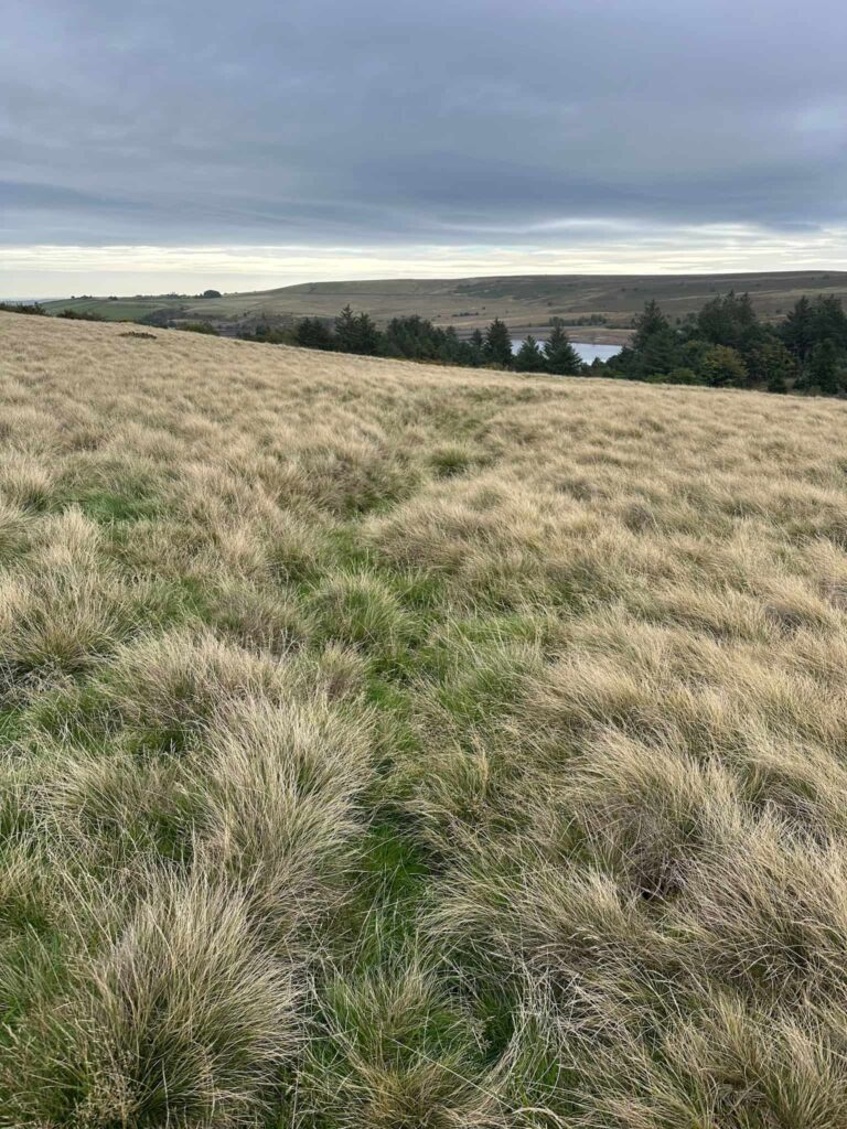A grassy field showing the remains of WW1 trenches