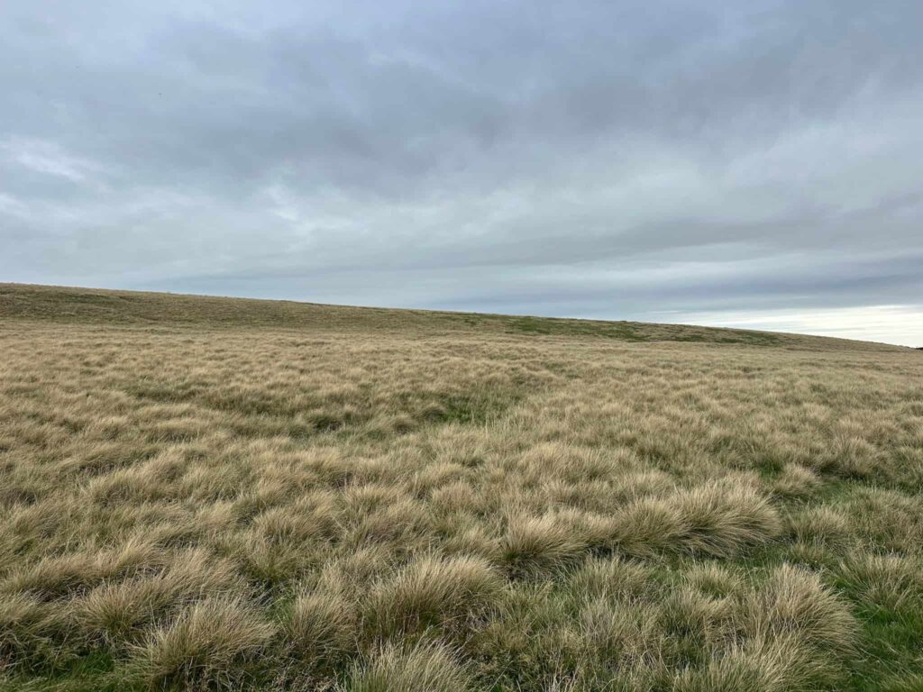 A grassy field showing the remains of WW1 trenches
