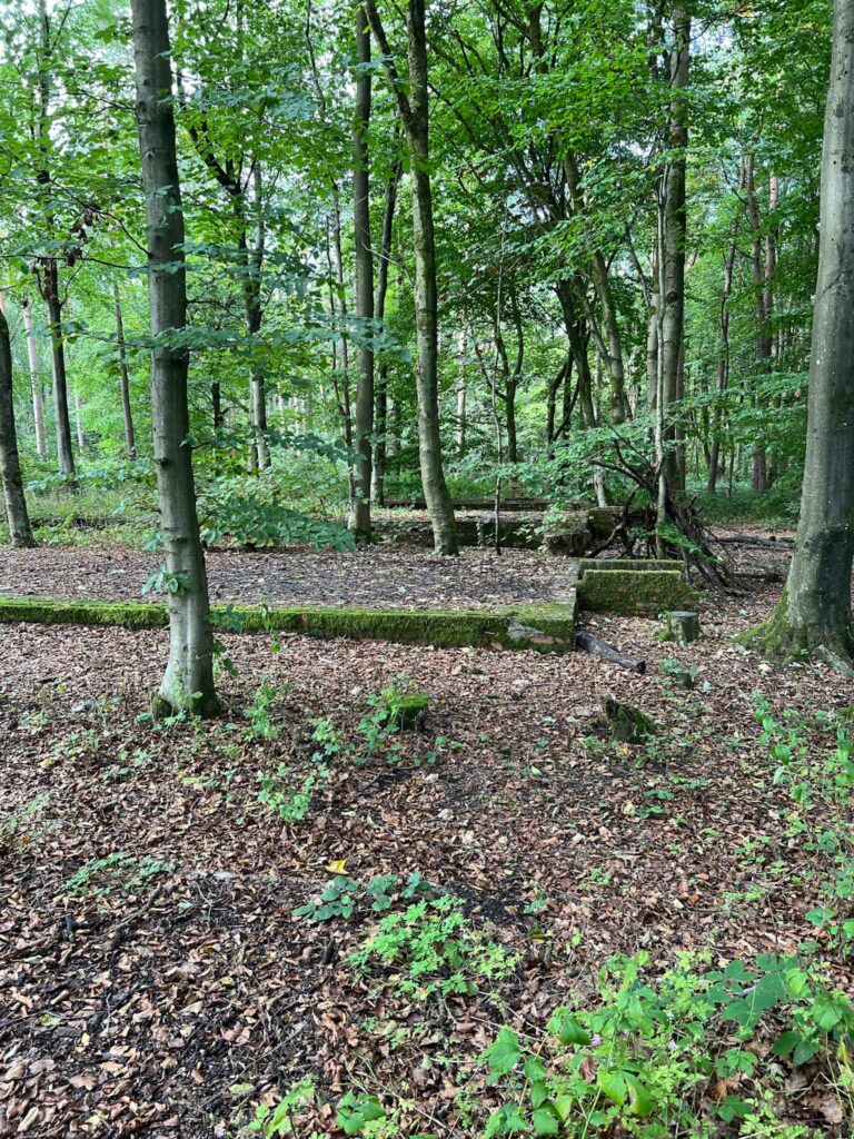 Remains of Lodge Moor POW Camp