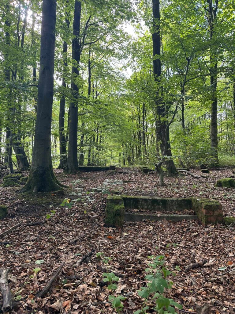 Remains of Lodge Moor POW Camp