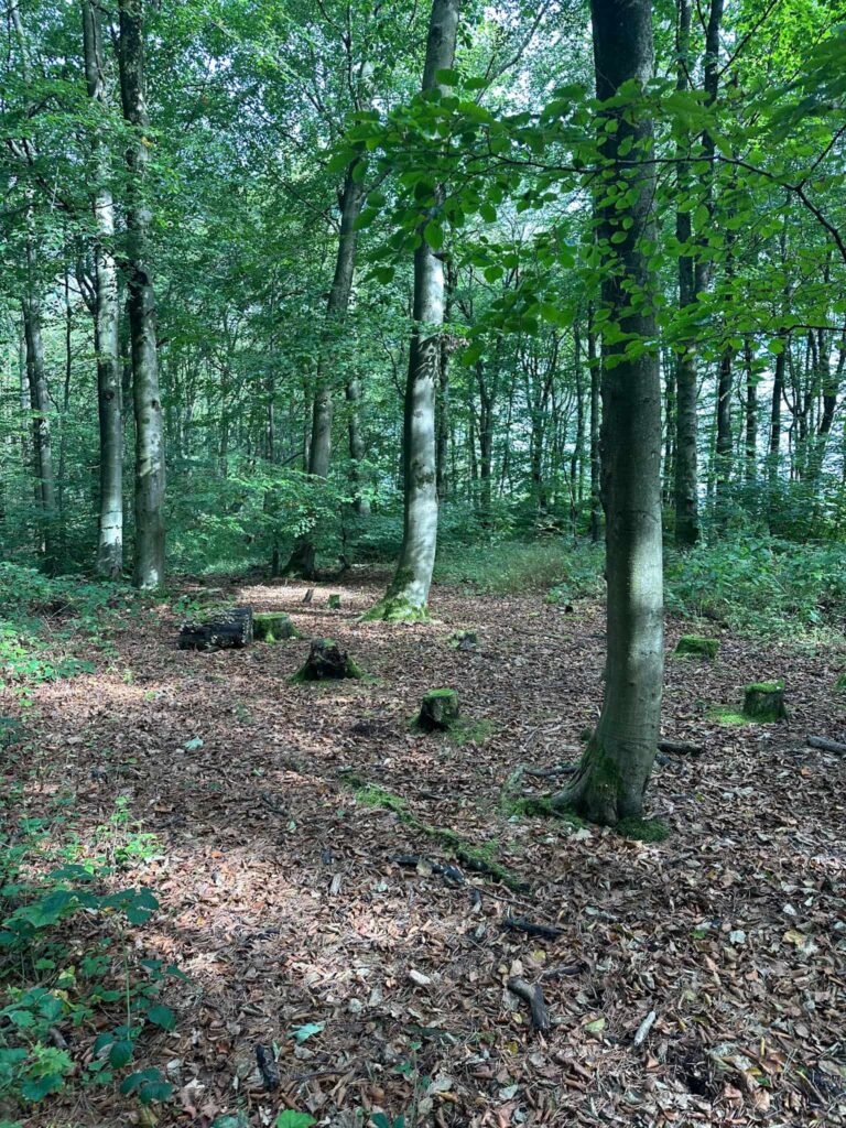 Remains of Lodge Moor POW Camp