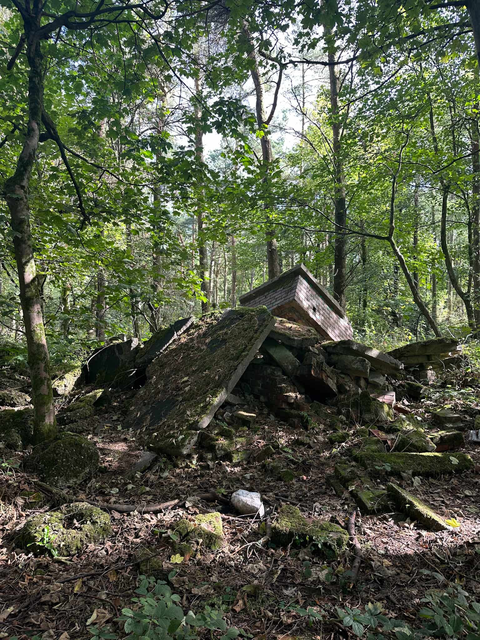 Remains of Lodge Moor POW Camp