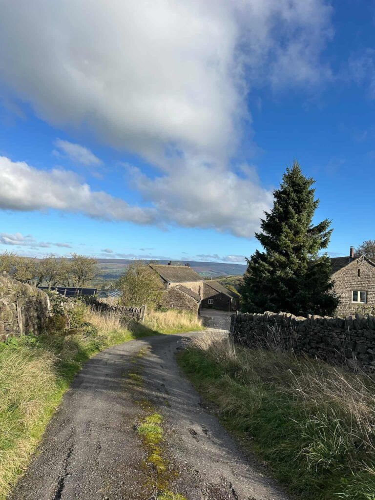 A country lane